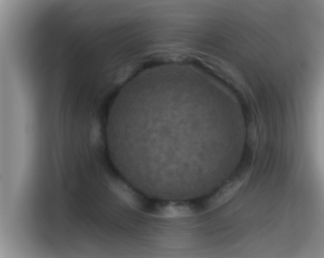 X0000115390270200911101458