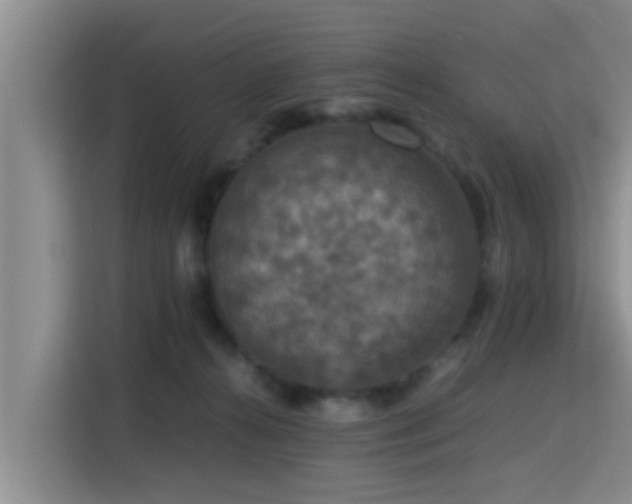 X0000115390272200911101458