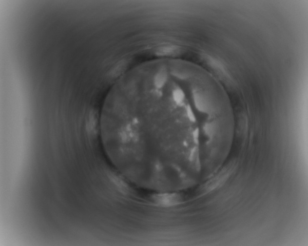 X0000115390273200911101458