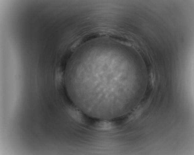 X0000115390276200911101458