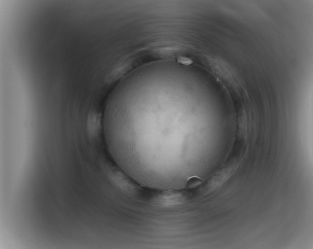 X0000115390278200911101458