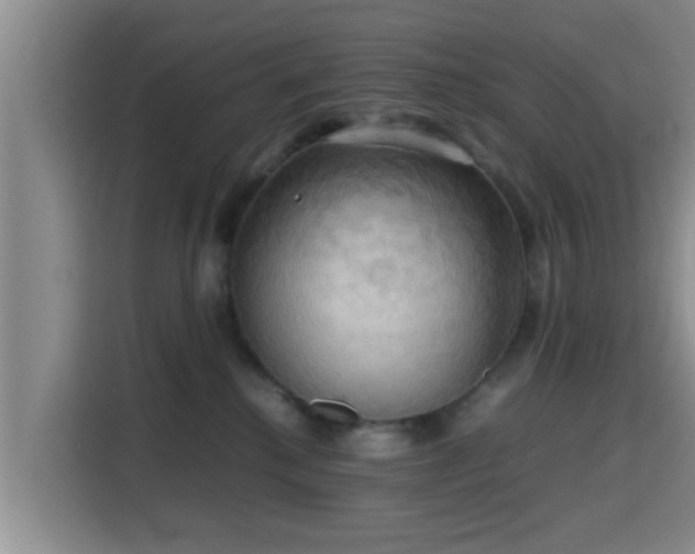 X0000115390280200911101458