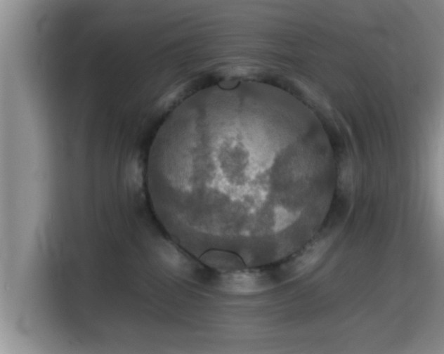 X0000115390282200911101458