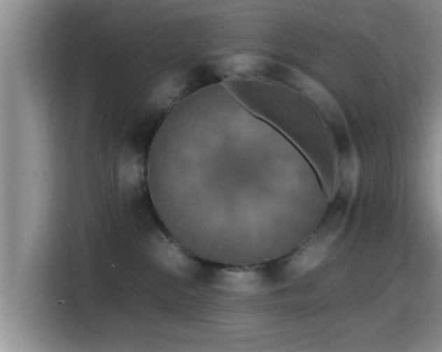 X0000115390284200911101458