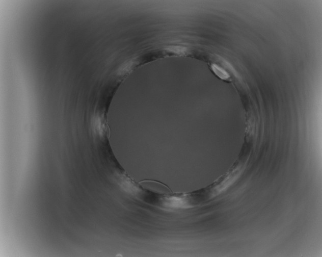 X0000115390285200911101458