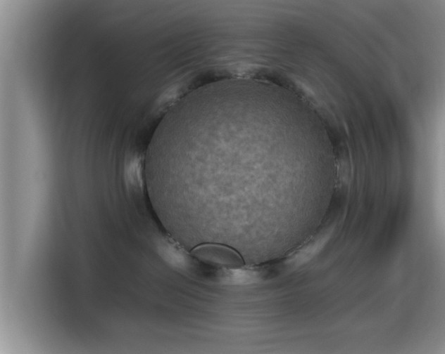 X0000115390286200911101458