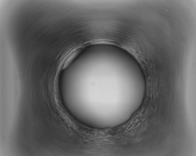 X0000115390289200911101458