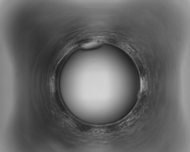 X0000115390291200911101458
