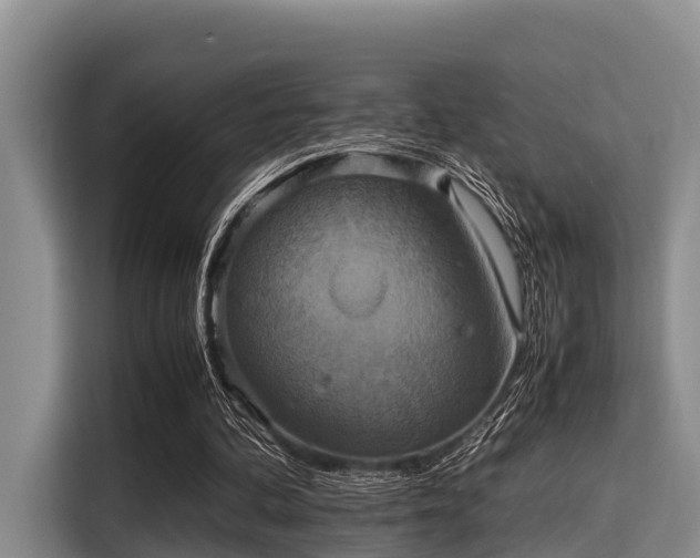 X0000115390292200911101458