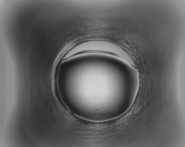 X0000115390293200911101458