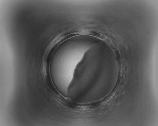 X0000115390295200911101458