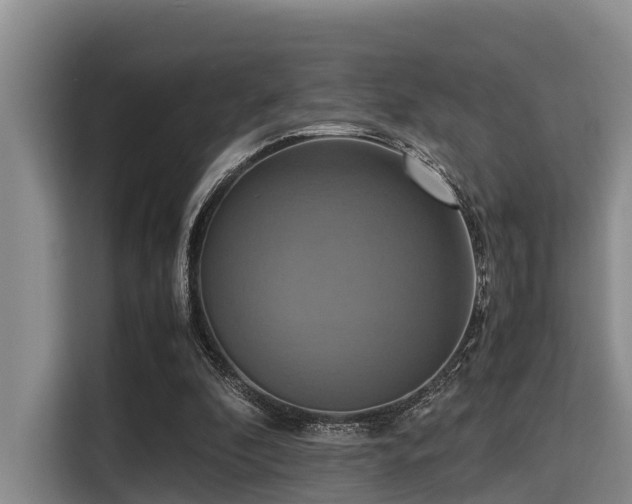 X0000115390296200911101458