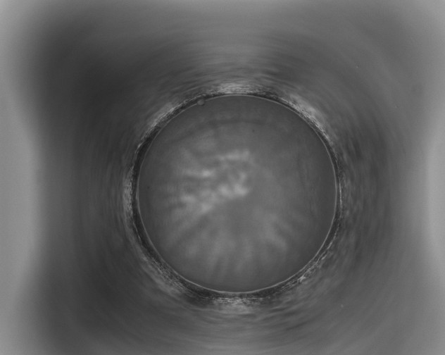 X0000115390297200911101458