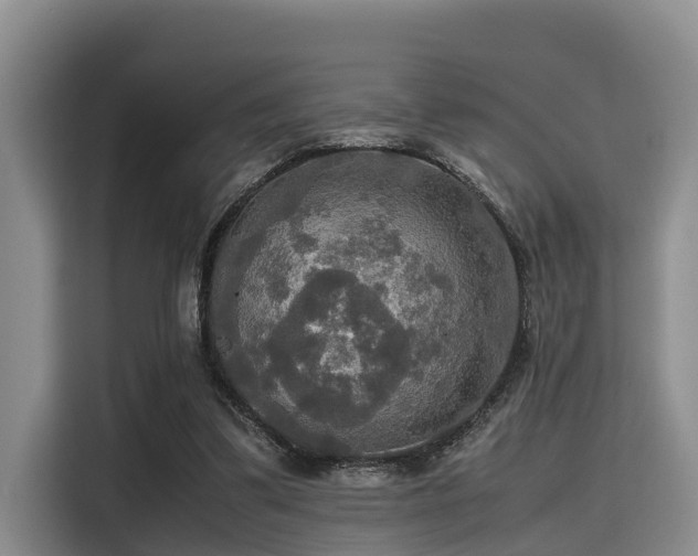 X0000115390299200911101458