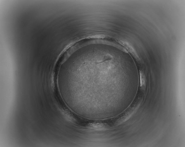X0000115390300200911101458