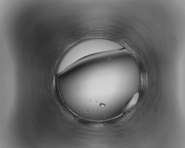 X0000115390301200911101457