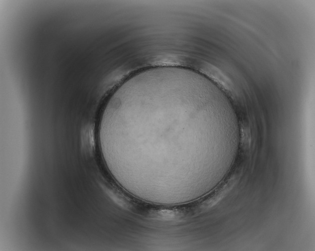 X0000115390302200911101457
