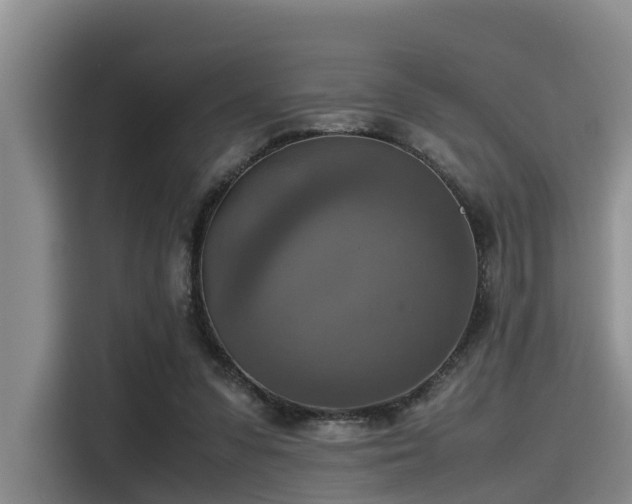X0000115390303200911101457