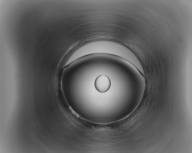 X0000115390304200911101457