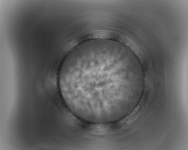 X0000115390305200911101457