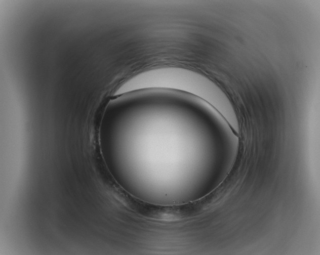 X0000115390308200911101457
