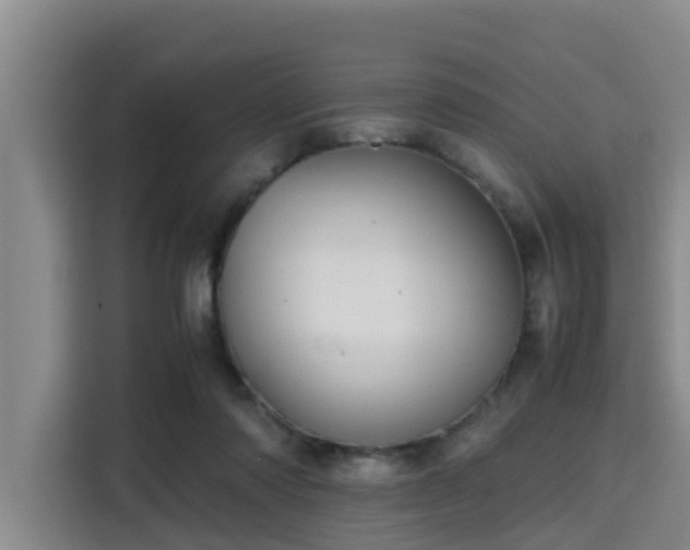X0000115390310200911101457