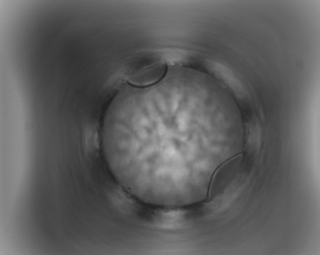 X0000115390313200911101457