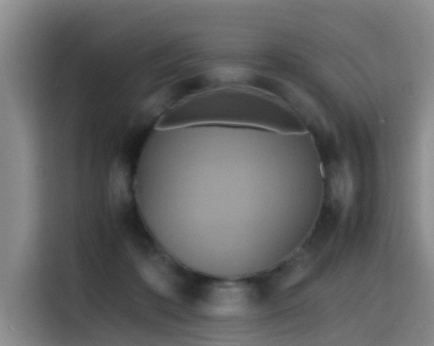 X0000115390316200911101457