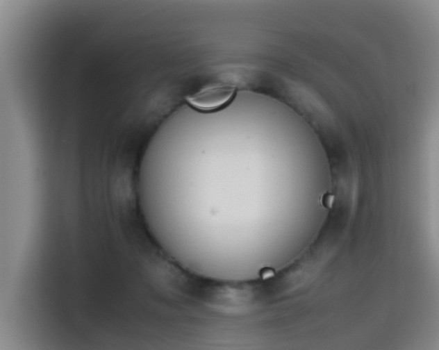 X0000115390317200911101457