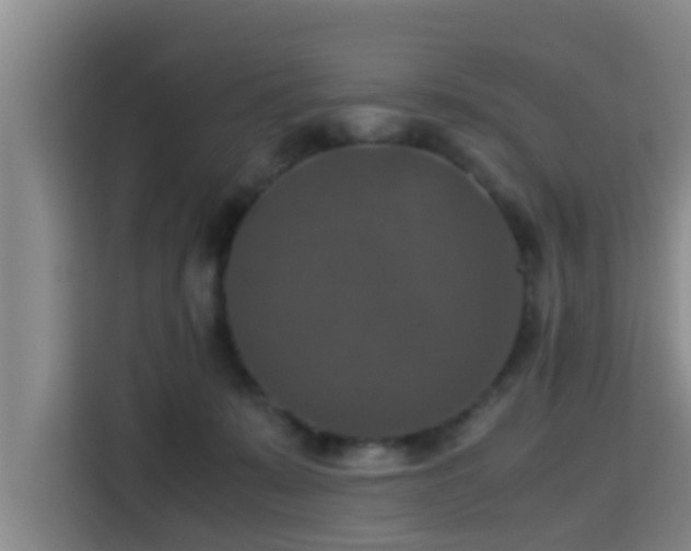 X0000115390319200911101457