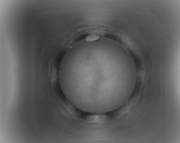 X0000115390323200911101457