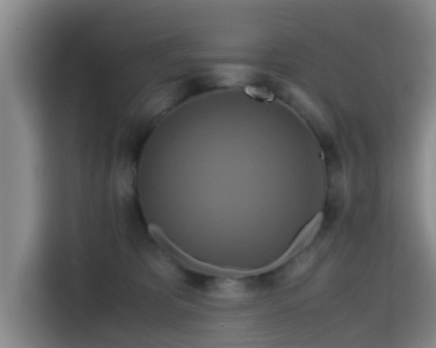 X0000115390325200911101457