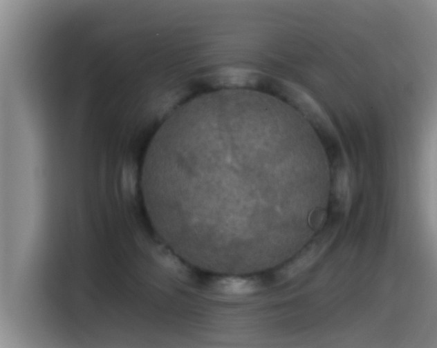 X0000115390326200911101457