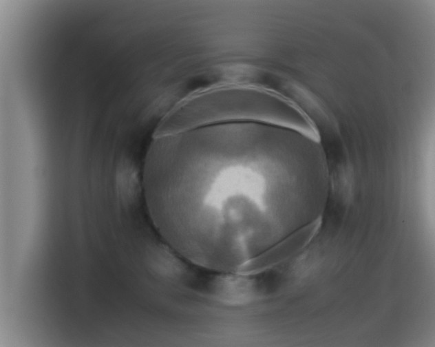 X0000115390327200911101457