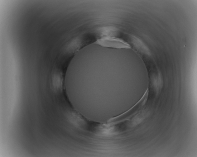 X0000115390328200911101457