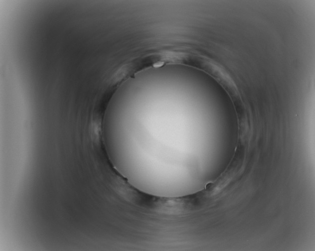 X0000115390329200911101457