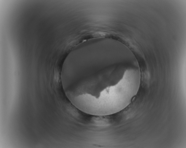 X0000115390331200911101457