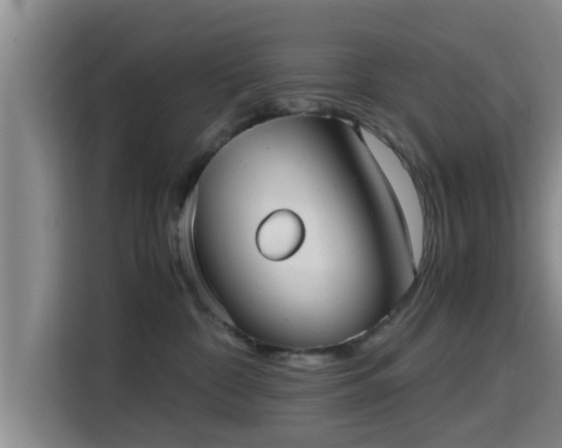X0000115390332200911101457