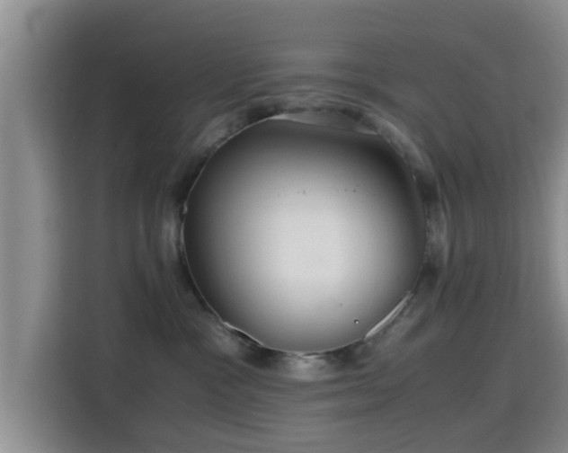 X0000115390333200911101457