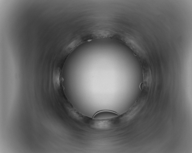 X0000115390334200911101457