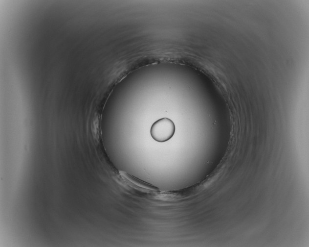 X0000115390336200911101457
