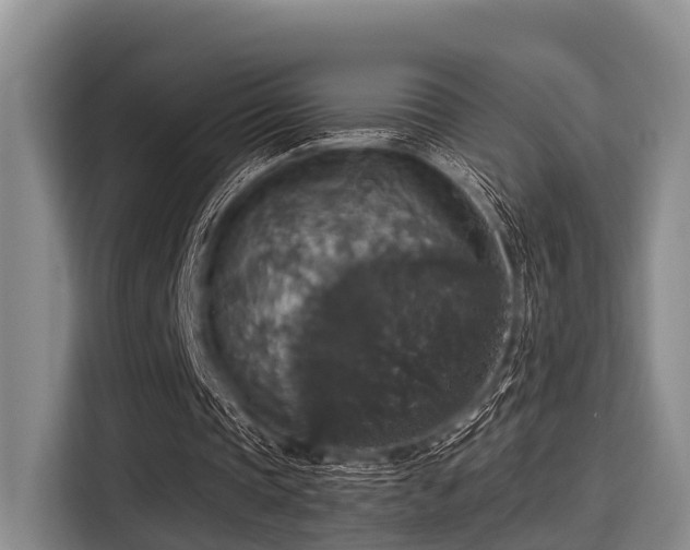 X0000115390337200911101456