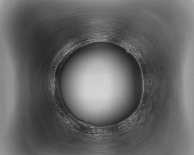 X0000115390338200911101456