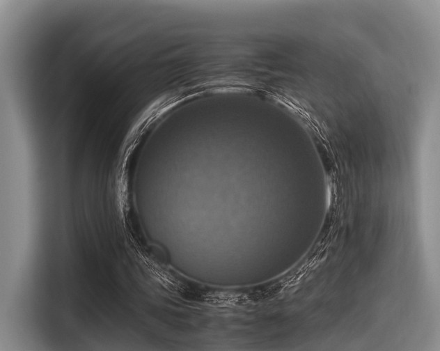 X0000115390339200911101456
