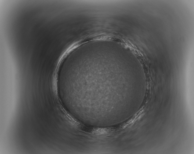 X0000115390341200911101456