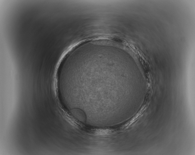X0000115390342200911101456