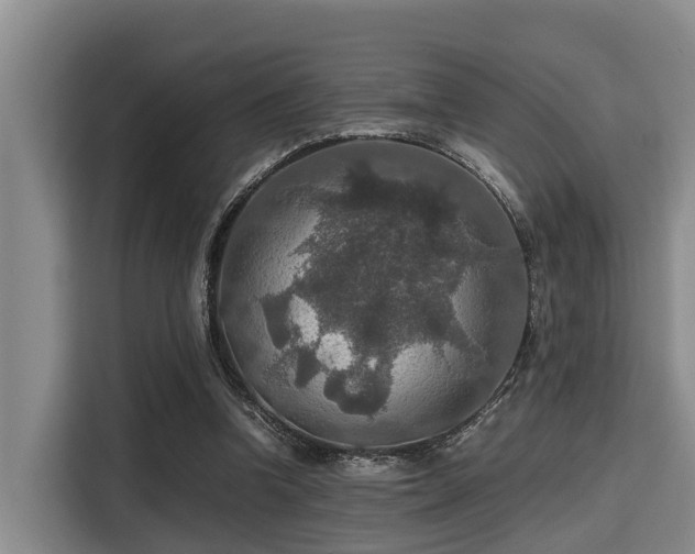 X0000115390346200911101457