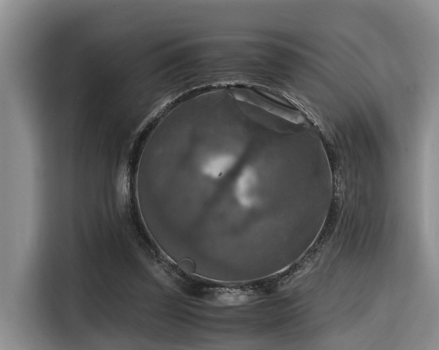 X0000115390347200911101457