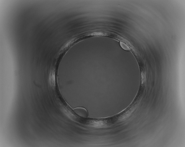 X0000115390349200911101457