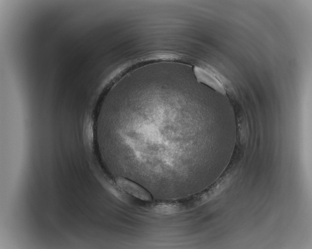 X0000115390350200911101457